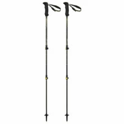 Backcountry Carbon 2.0 - Walking Poles