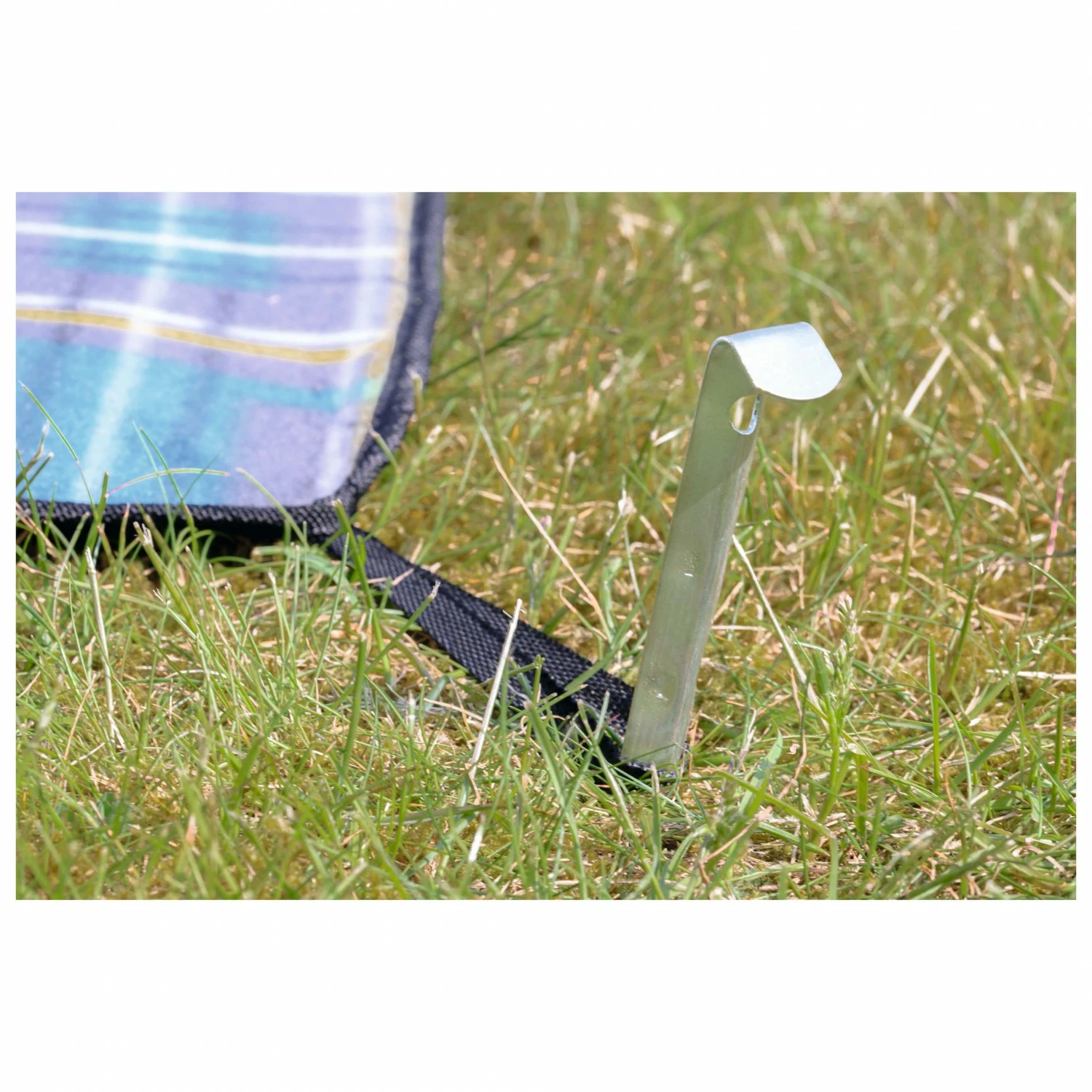 Uquip Scotty - Picnic Blanket - Image 4